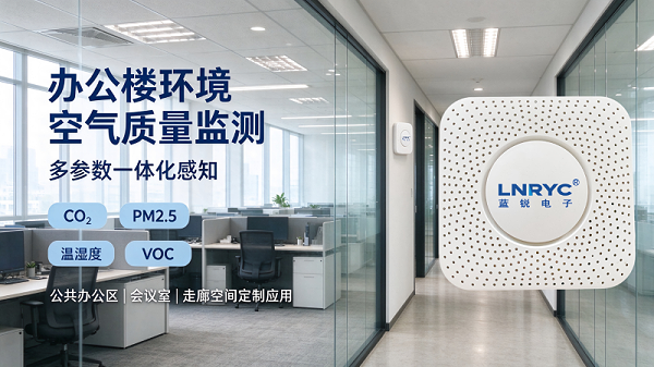 蓝锐‌多合一在线监测终端‌